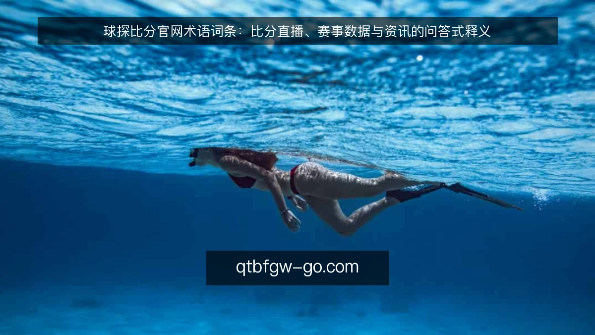 球探比分官网术语词条:比分直播、赛事数据与资讯的问答式释义